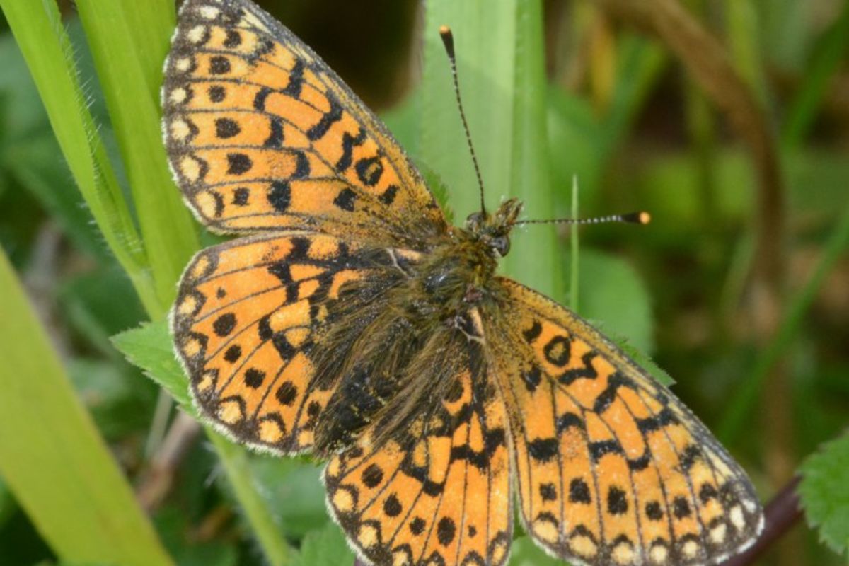 Qypxsqr9zlyyiokndox0