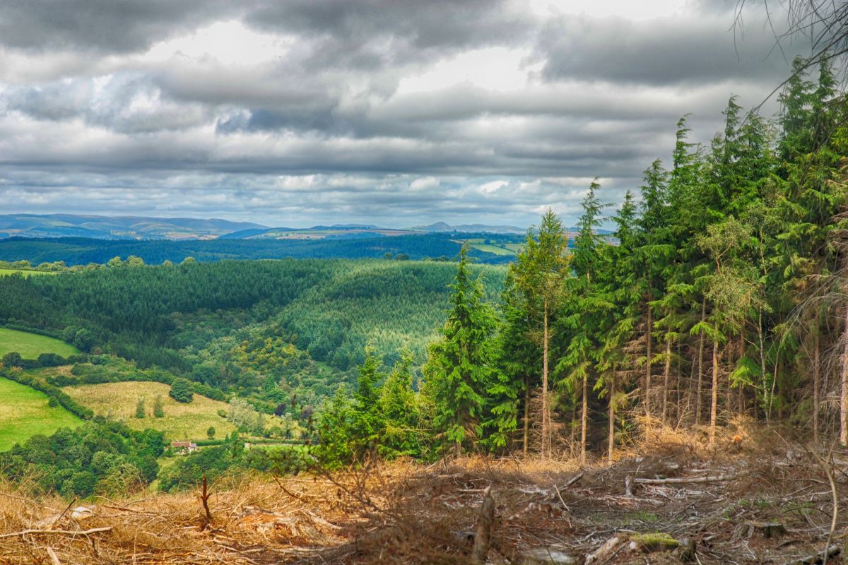 Rtpdbvhpbwvptzt25ist