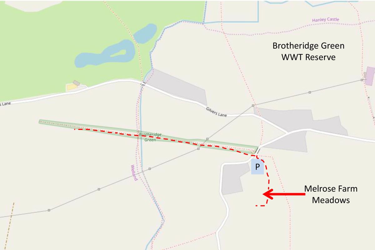 Rxcgihlxzyabpzdlqghn