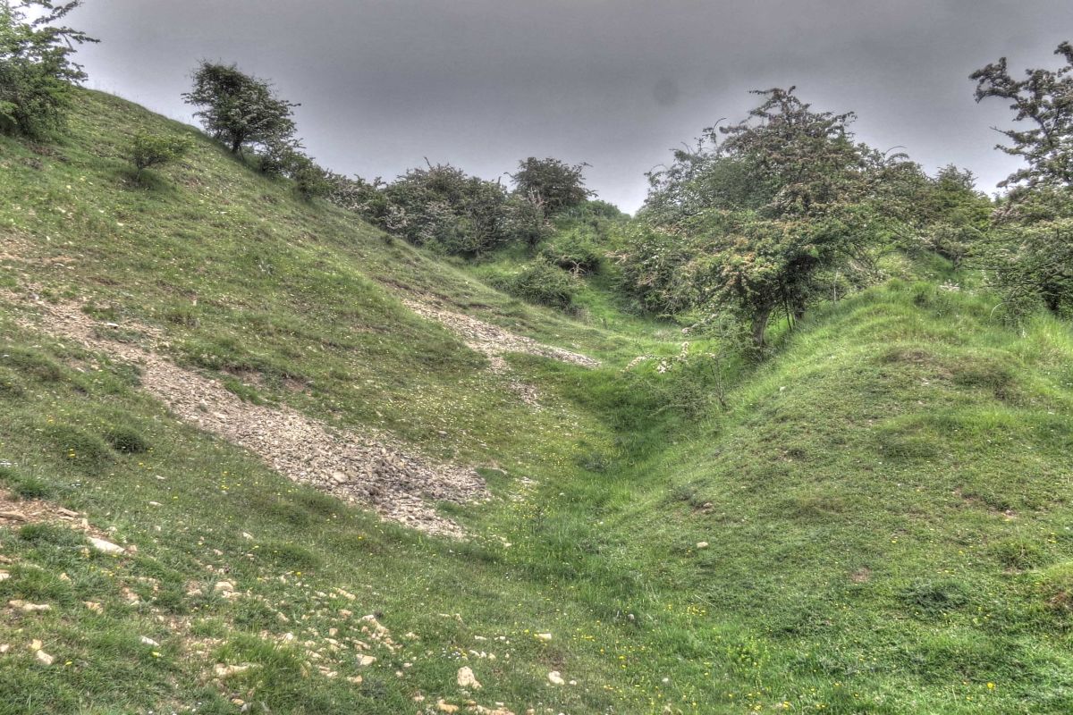 Sy3fsplc5efr6vbcm9ok