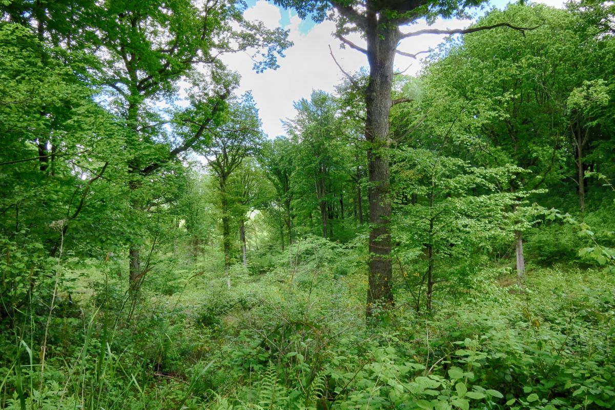 Tv3vq7n8rex9itqchnbk