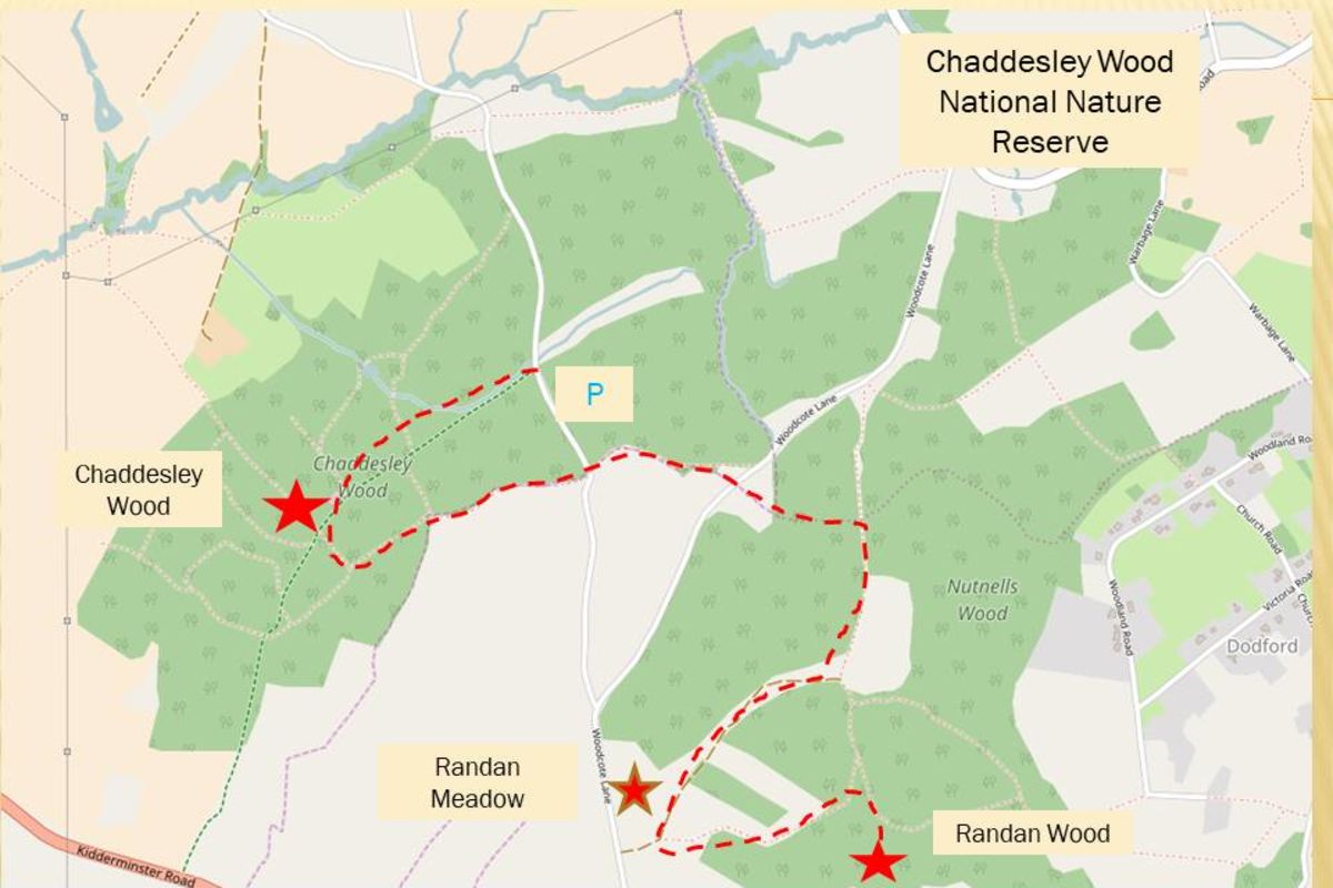 Wbeglg2eodma8cqrqogc