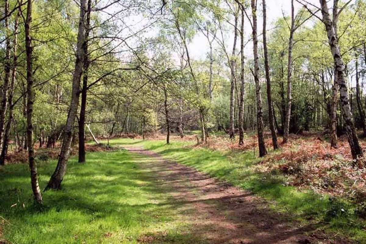 Wehtvm1pcsxybjs6dvrs