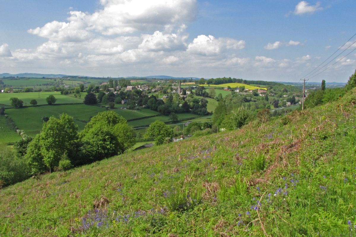 Woaj388dmoveazcmrvev