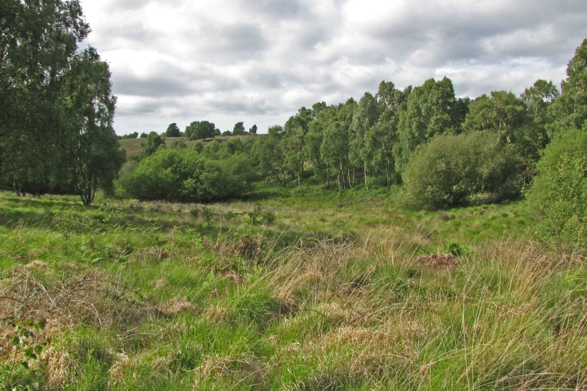 Wxszowcgqldopts2huet