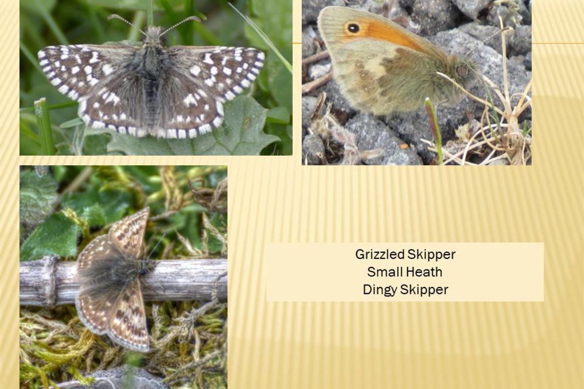 X2ltjvytp77szl1ltprz