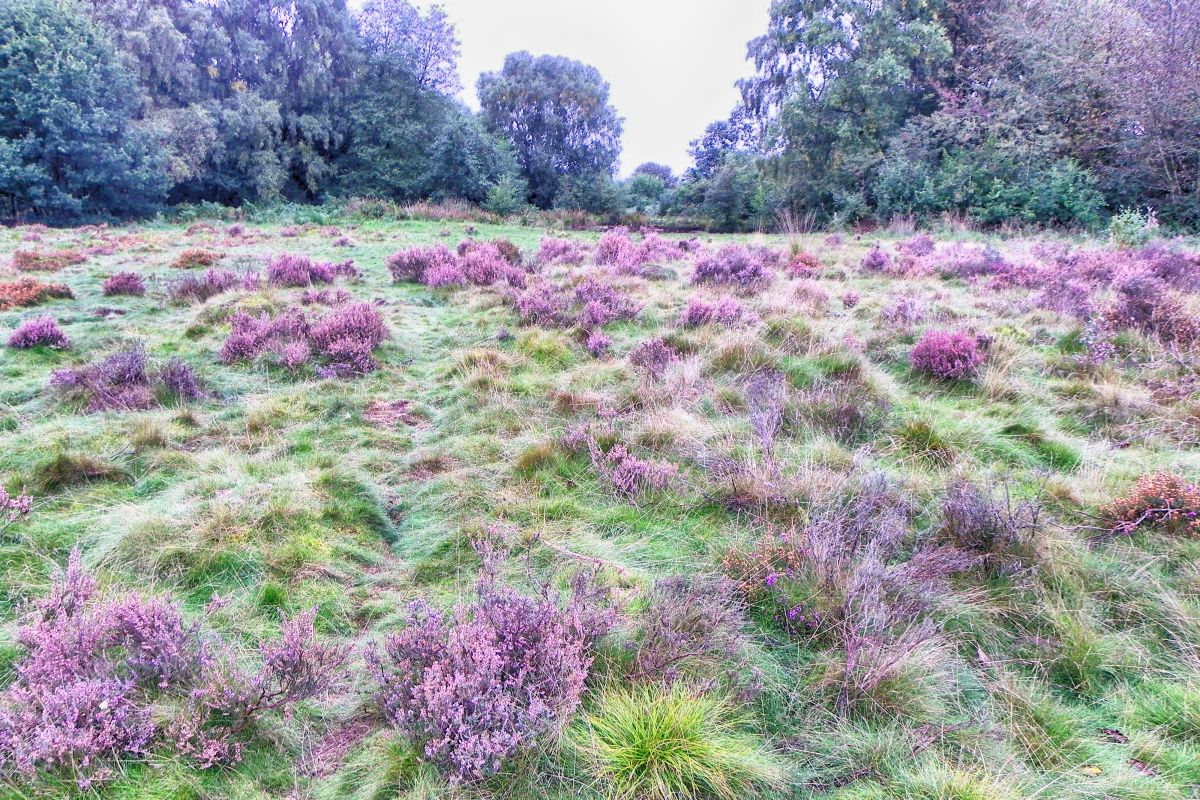 X9omnd0hldqfinwg4a0h