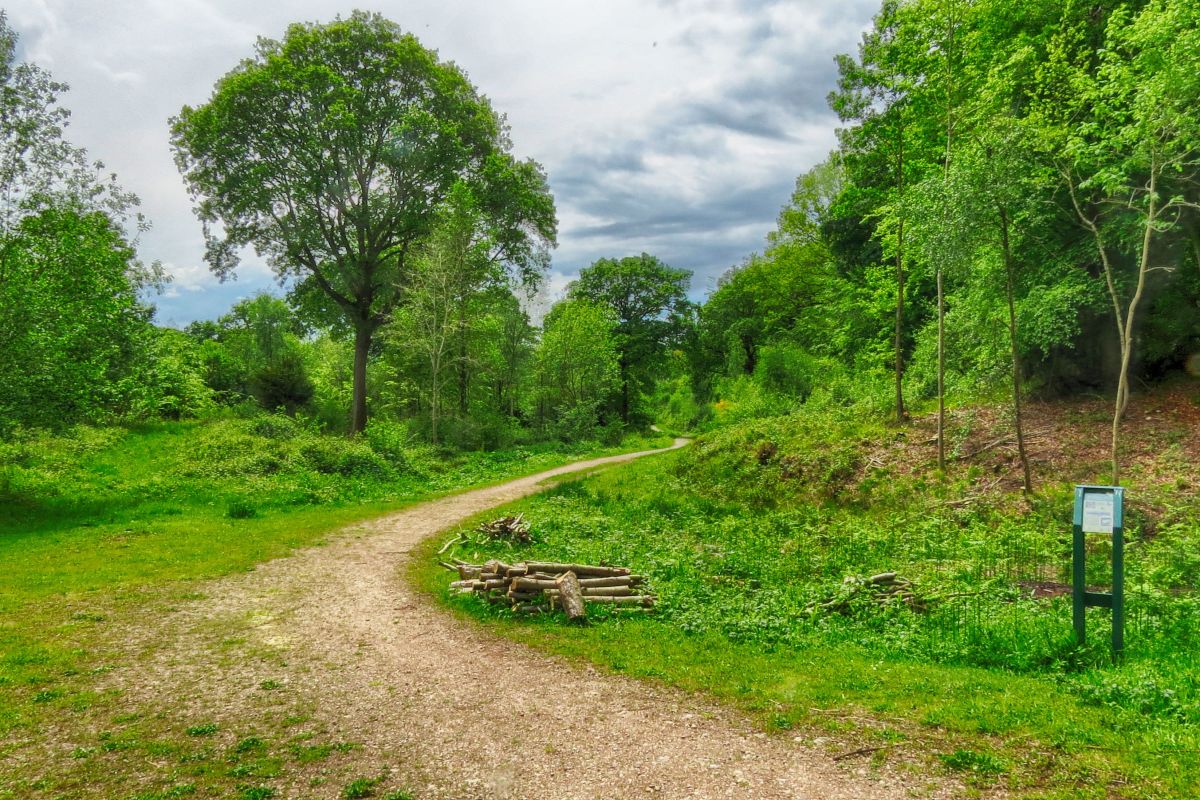 Xf1exdbo4rpogwhrfq7a