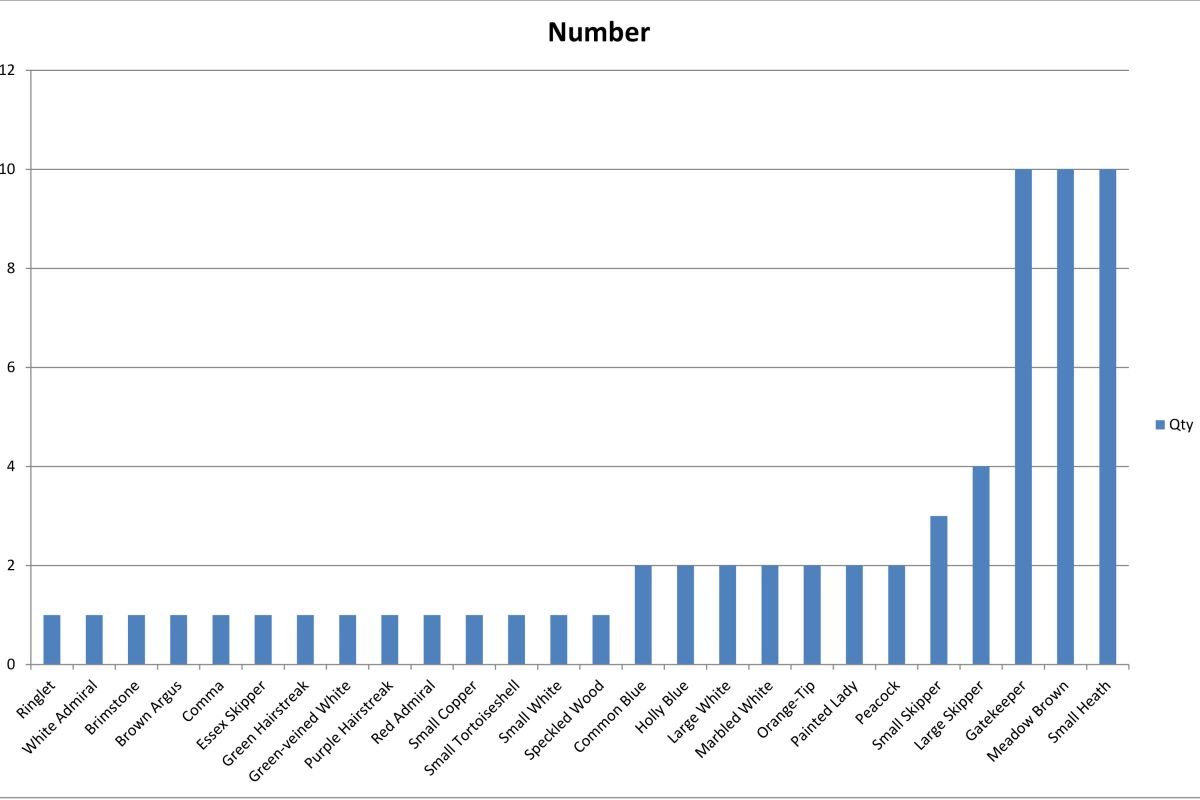 Xxpebjygmfze0tjyisea