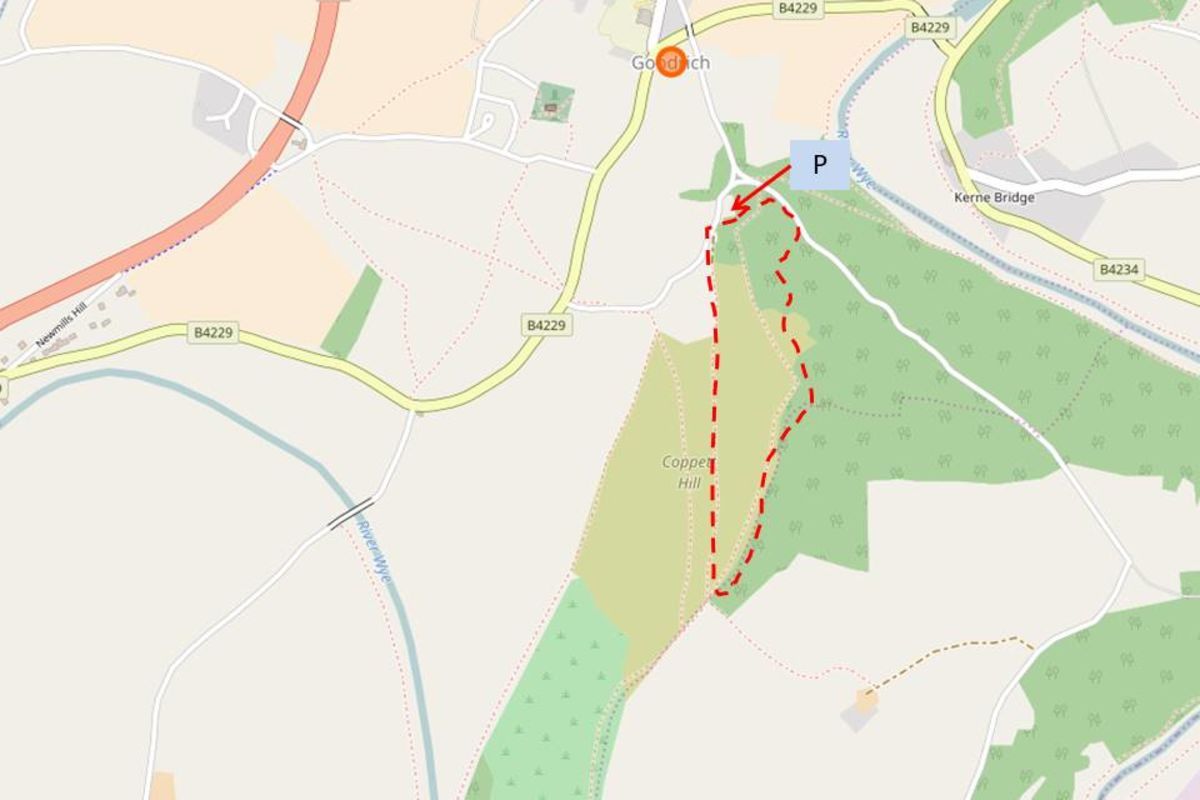 Y3kslnwd1vdem7lqqt2r