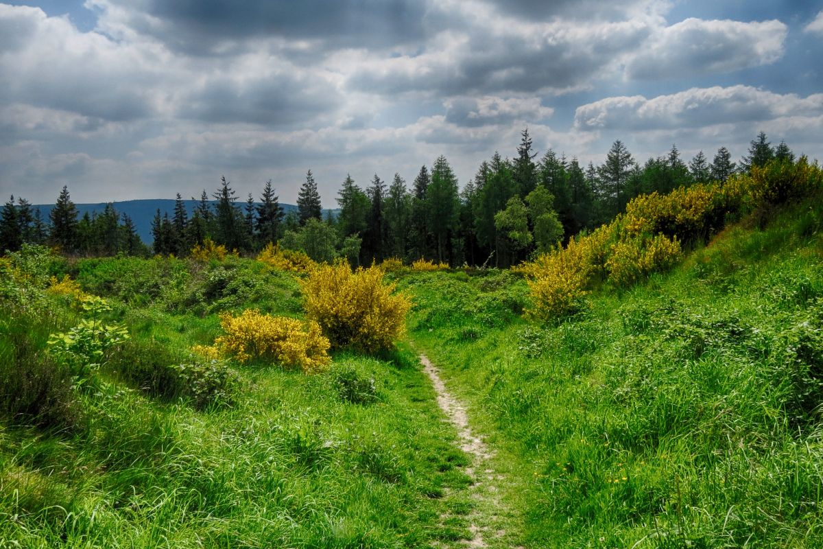 Yi9xxcqwx8gqcm1upcpn