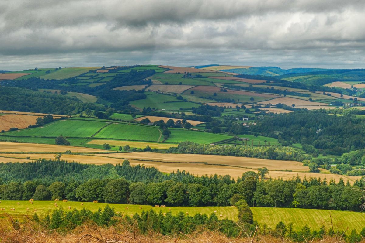 Yldmafzne3i97hiq0jez