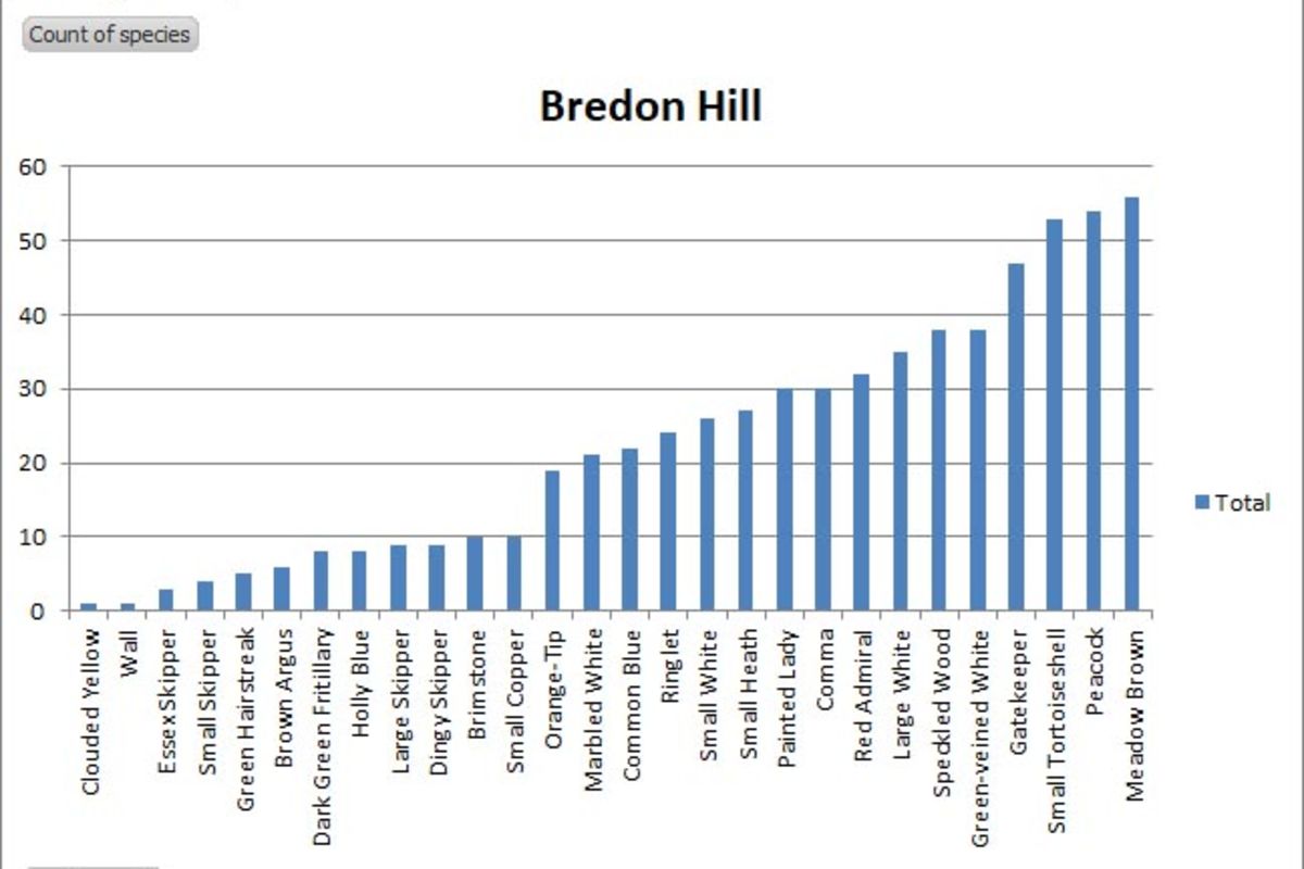 Yvw8j7rtkfpfmvfha9nm