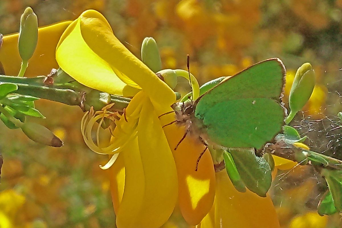 Zdi7c24ztuw7vcxcsl5d