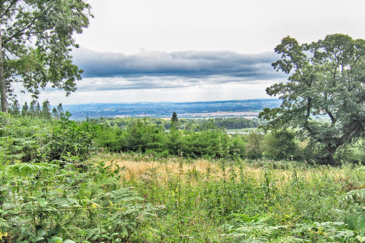 Zgjnti6pevd0ufocdhxx