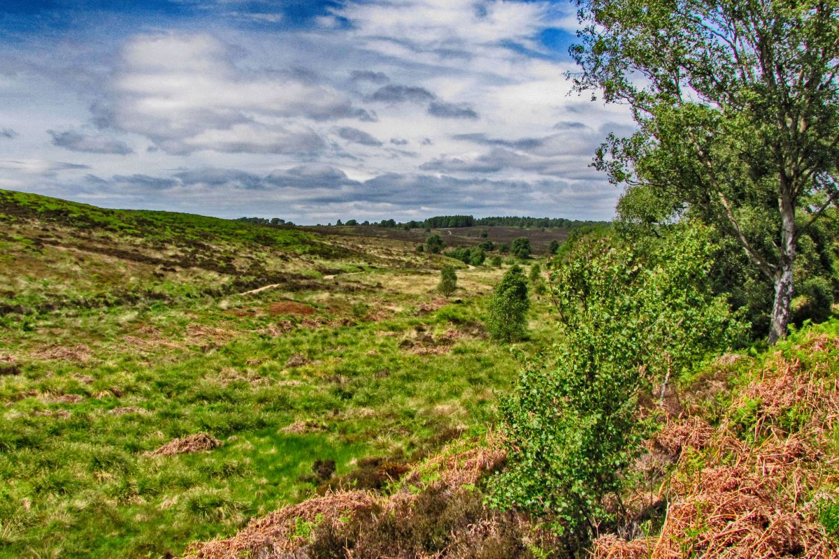 Zrydnb7xy0avv7cbnn11