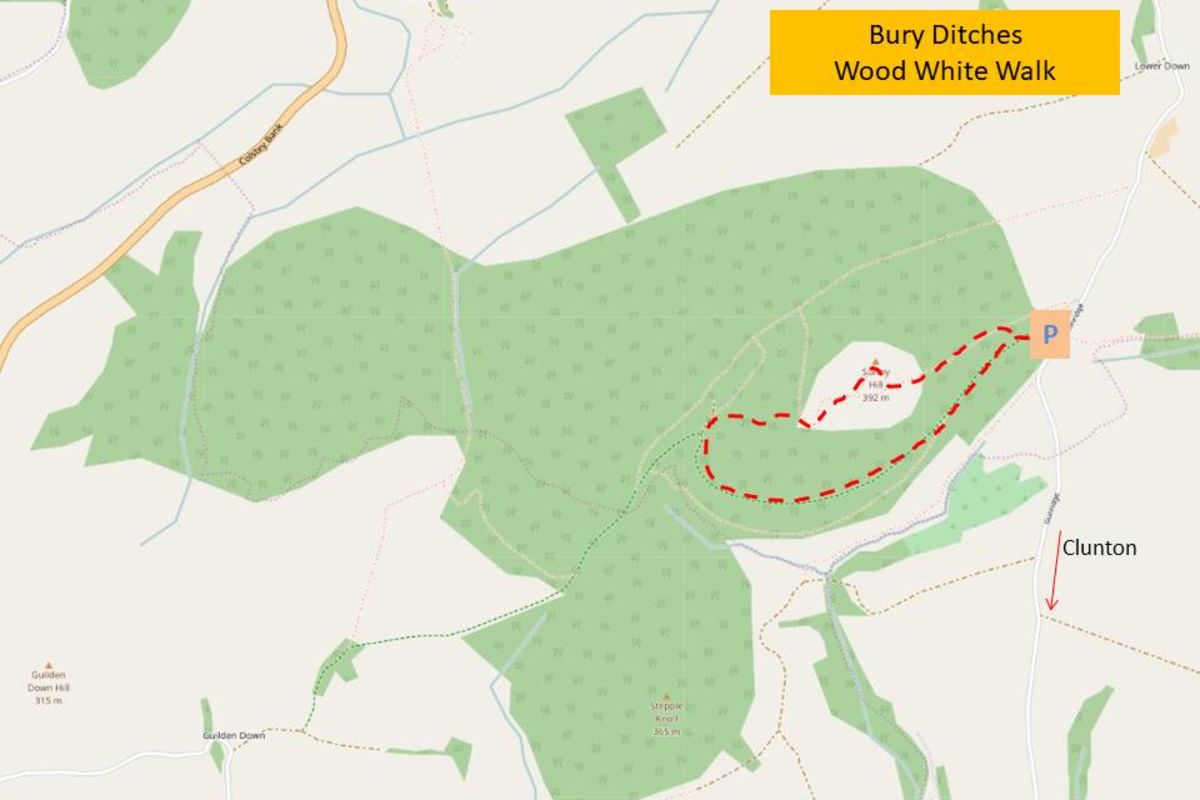 Zwa6radwyl6ltlrarvro