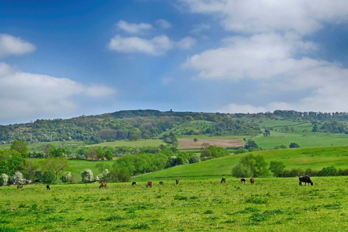 Zxc2i7e8ffmtok1bl3ae