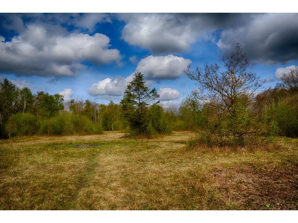 Efqql563r4zcosnwobxt