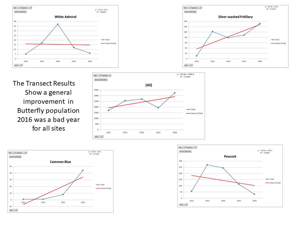 Mlylkhslray7xrgzkl3z