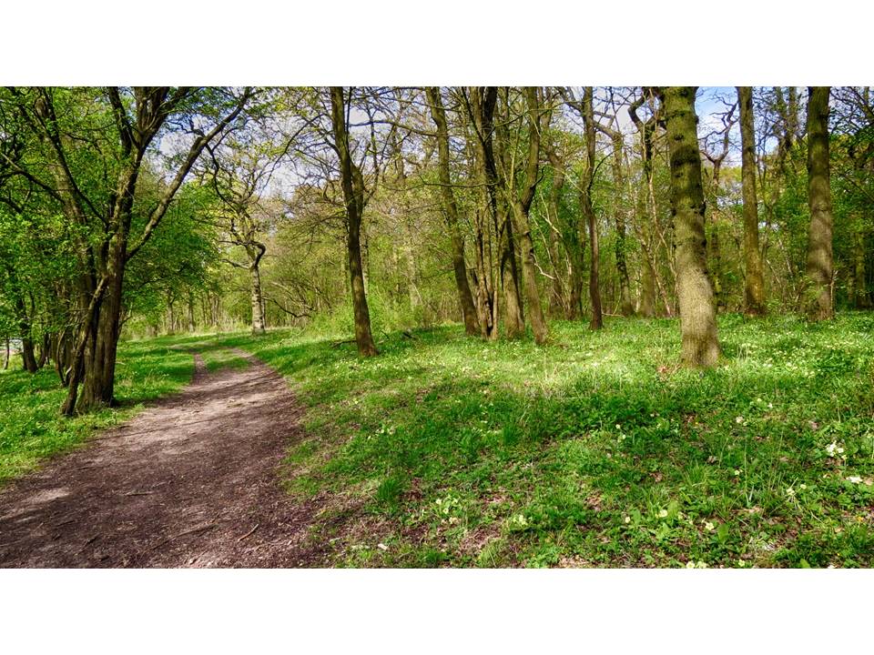 Rpqshg35fmuu3cqntvip