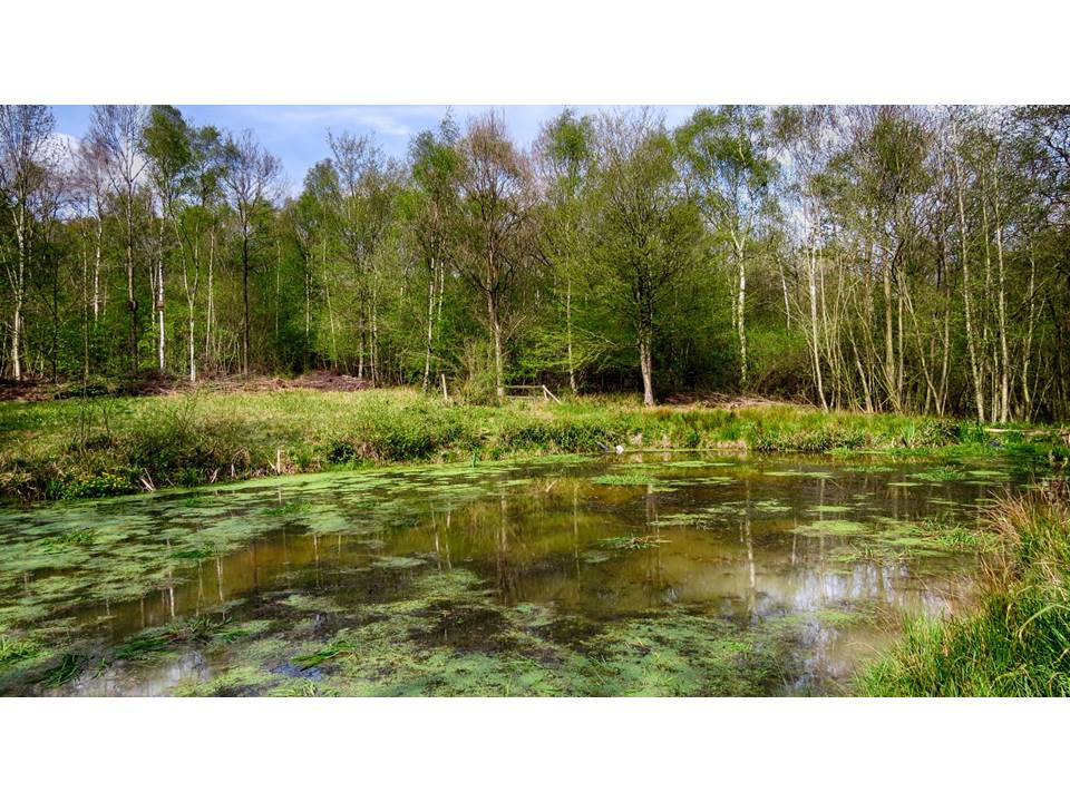 Sad02wxmyq7mvobmsb8j