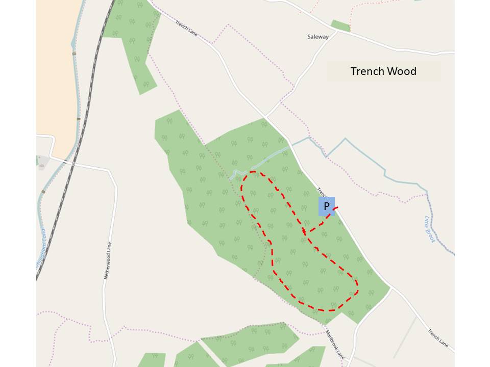 Wj0vfnpll76aitfqlxt6