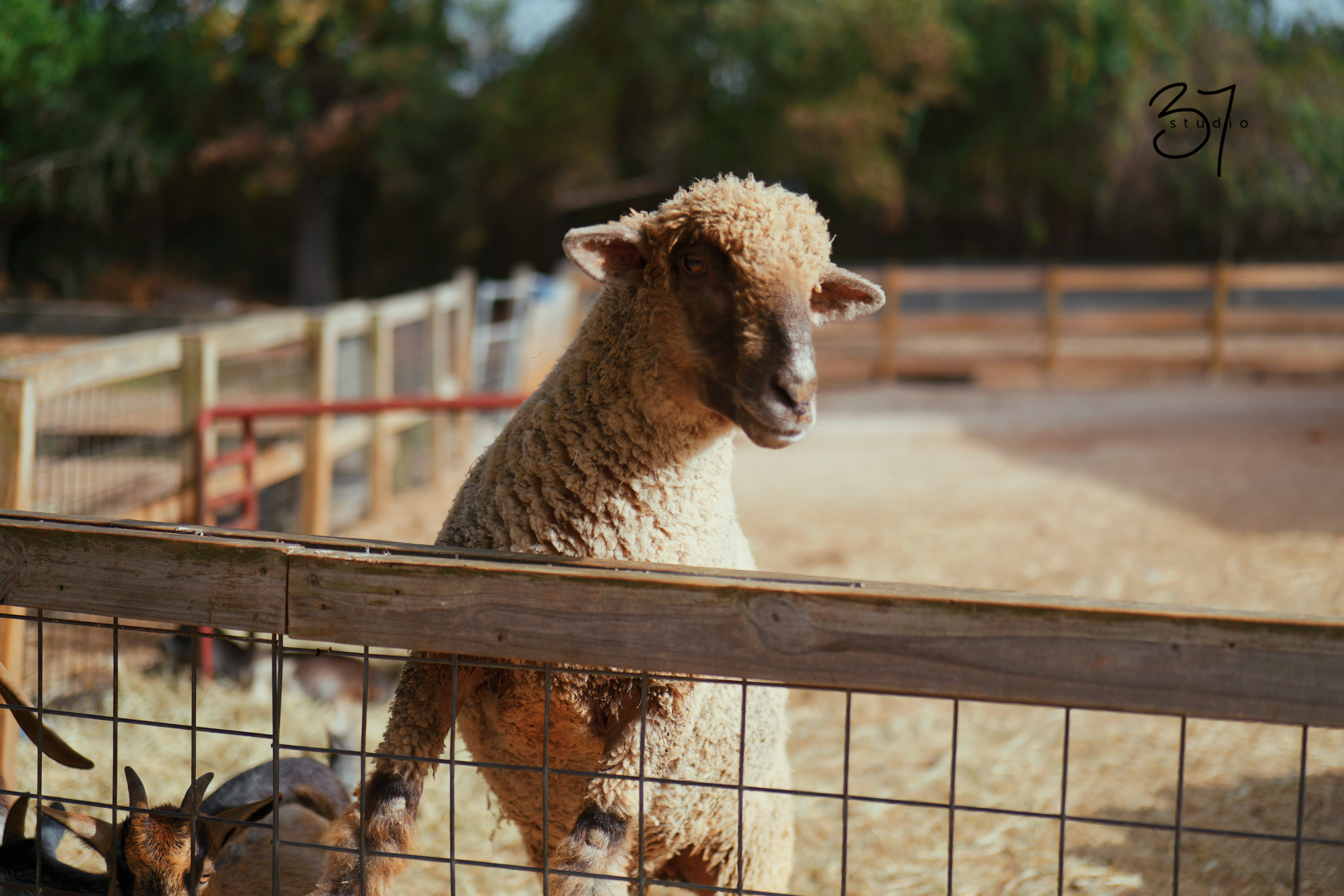 Indoor vs. Outdoor Photo Sessions: Wedding, Portrait & Commercial Photography