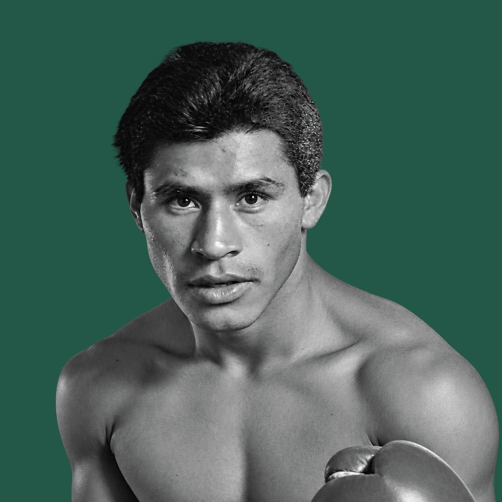 Lupe Pintor