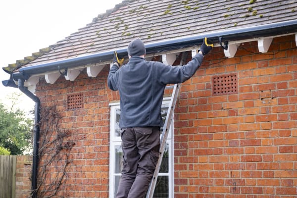 Preventive roof care