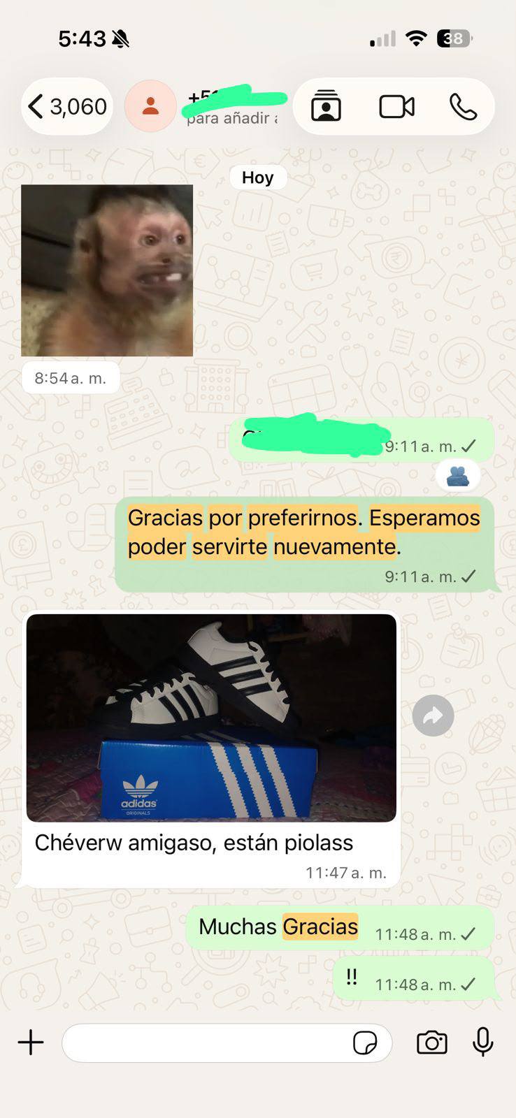 Entrega 16