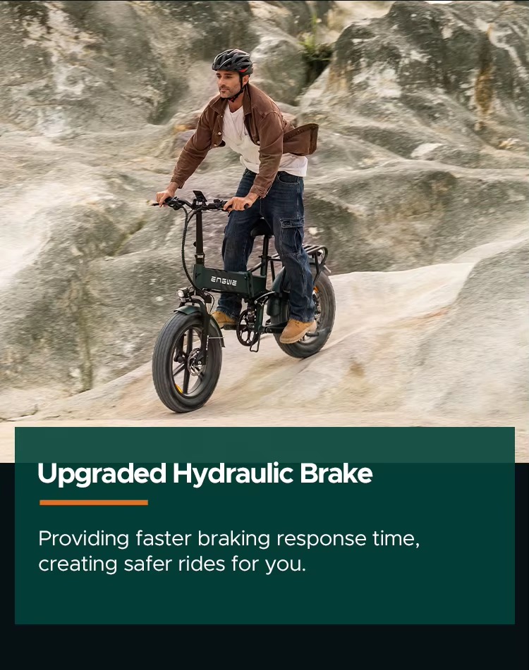 ENGWE ENGINE PRO 2.0 main bike view