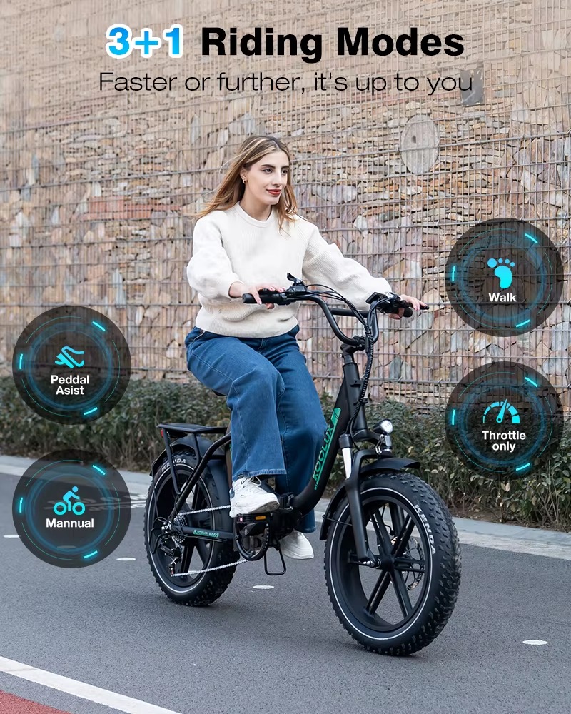 KOOLUX KL6S 250W 48V 15.6Ah 20*4'' Electric Bike main bike view
