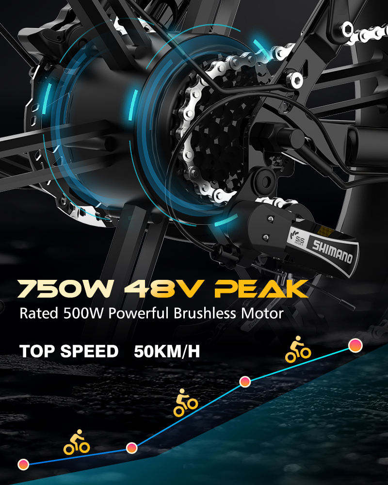 KOOLUX KL6S 250W 48V 15.6Ah 20*4'' Electric Bike main bike view