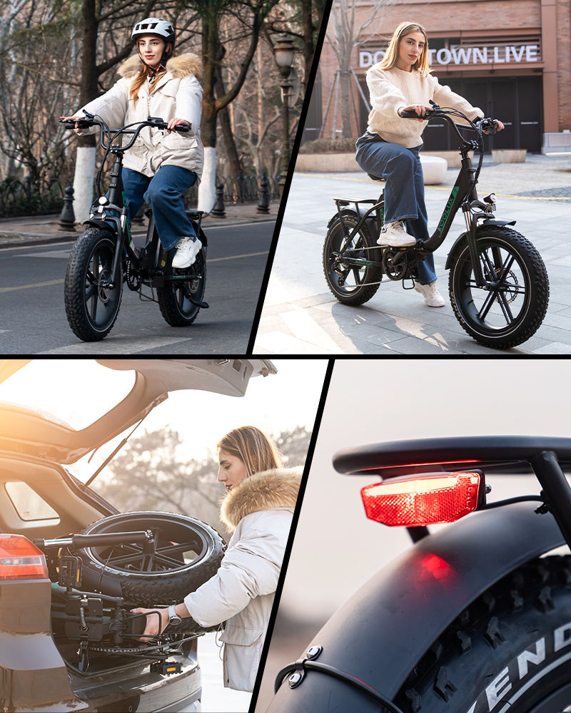 KOOLUX KL6S 250W 48V 15.6Ah 20*4'' Electric Bike main bike view