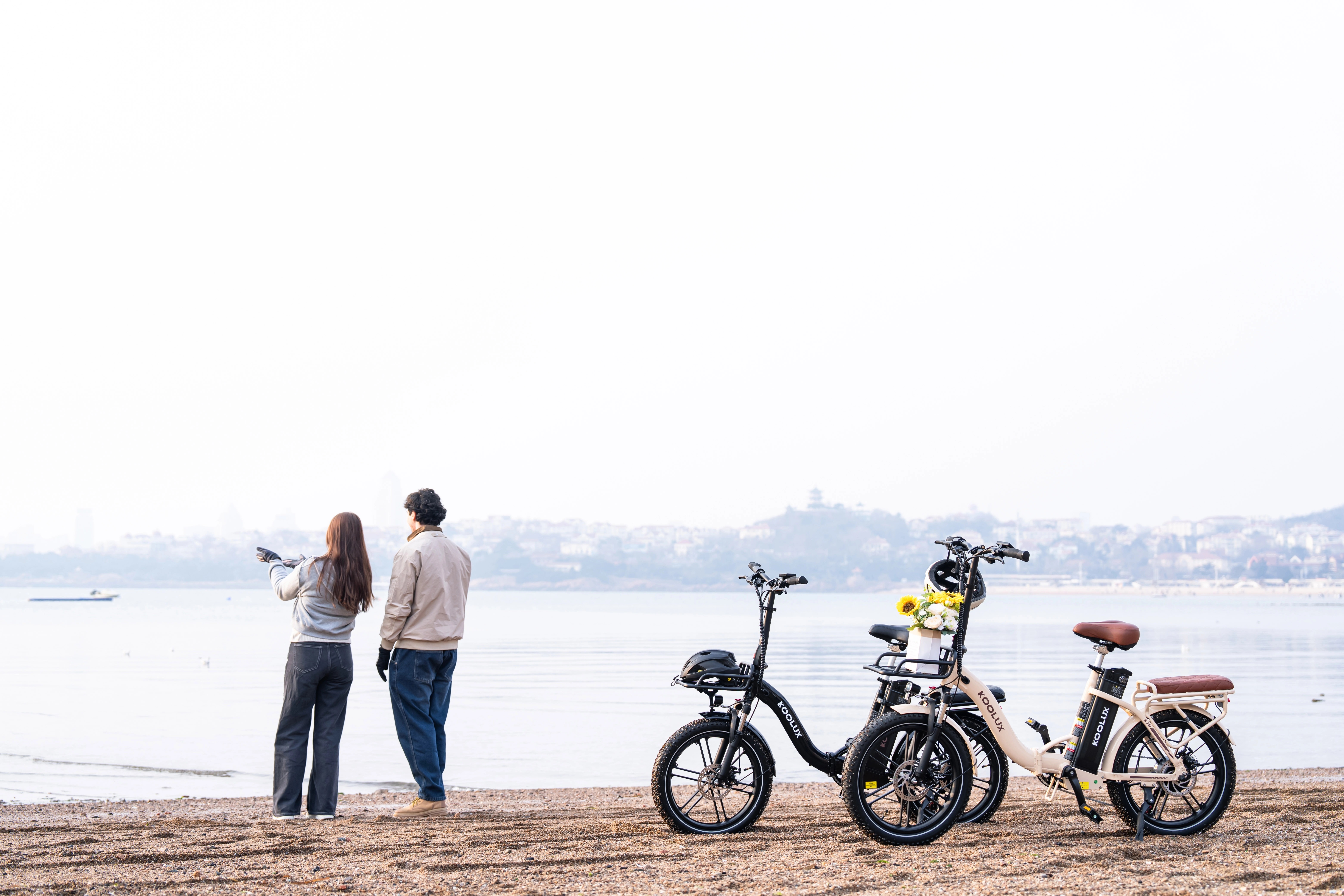 KOOLUX X16 Folding e-bike main bike view
