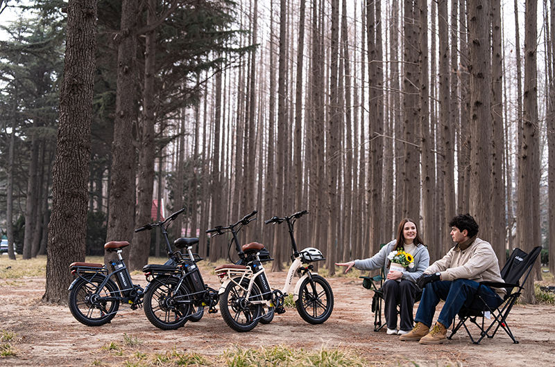 KOOLUX X16 Folding e-bike main bike view