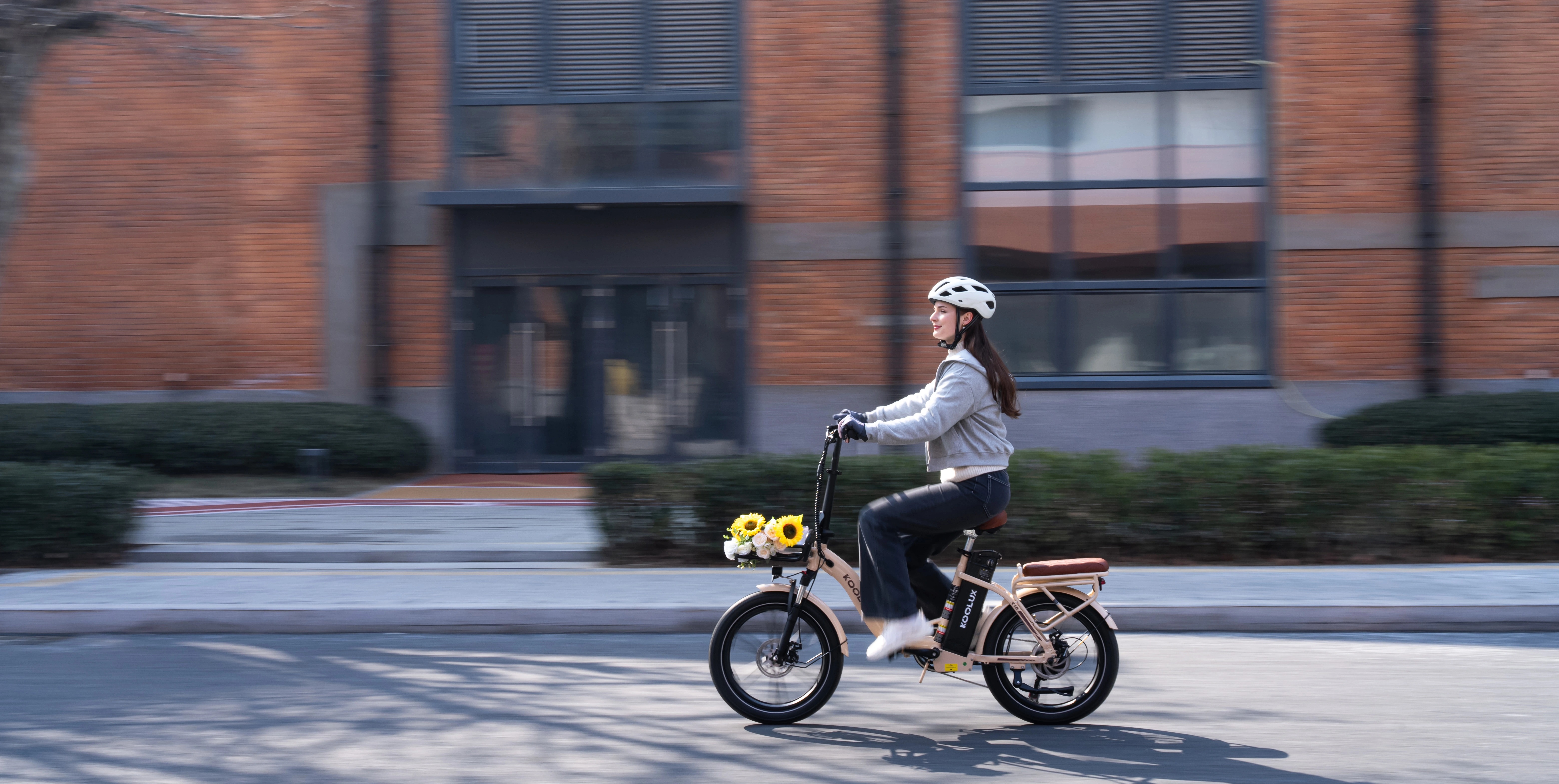 KOOLUX X16 Folding e-bike main bike view