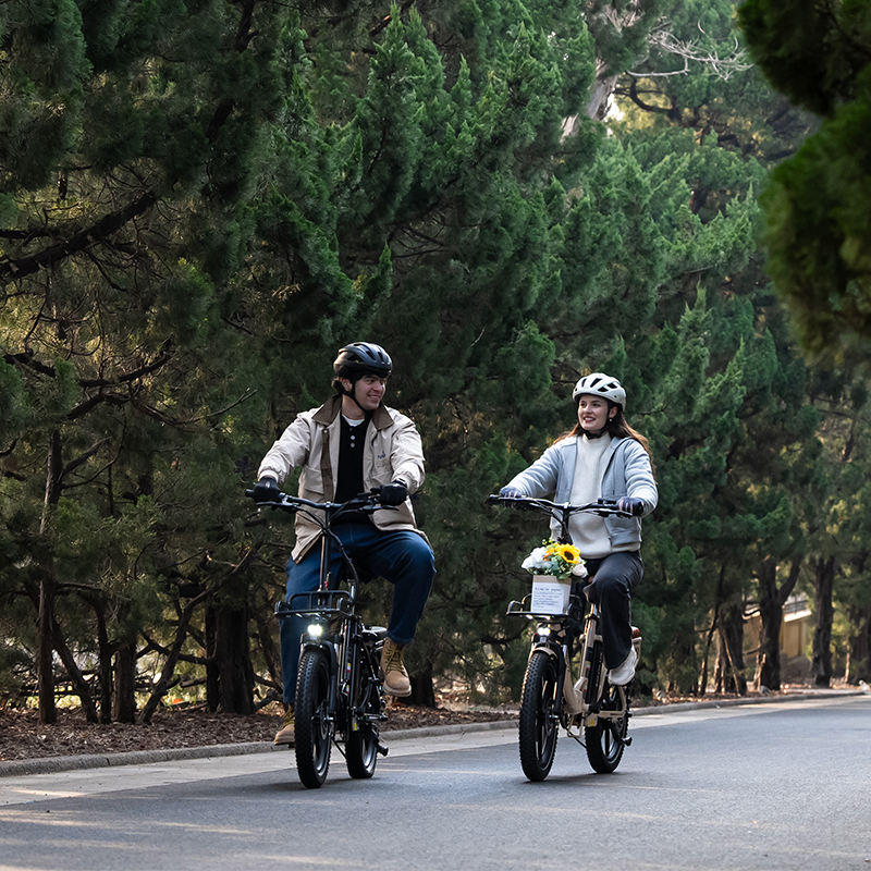 KOOLUX X16 Folding e-bike main bike view
