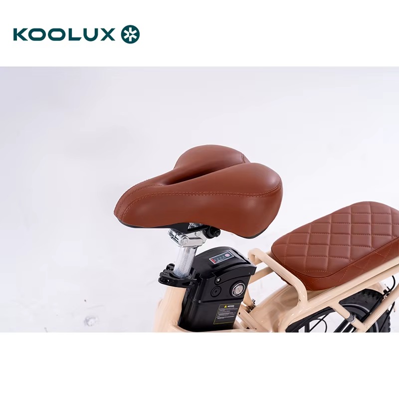 KOOLUX X16 Folding e-bike main bike view