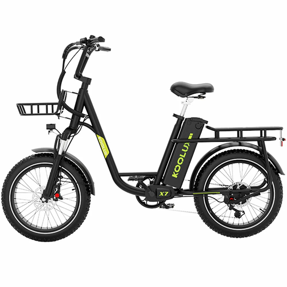 Ebike x 1