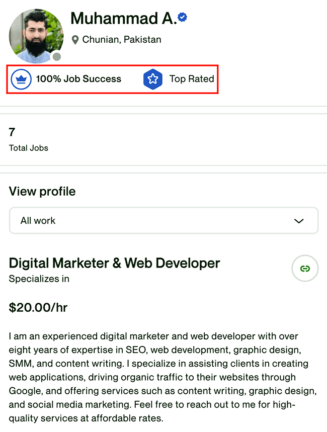 aamuhammadi_upwork_profile.png