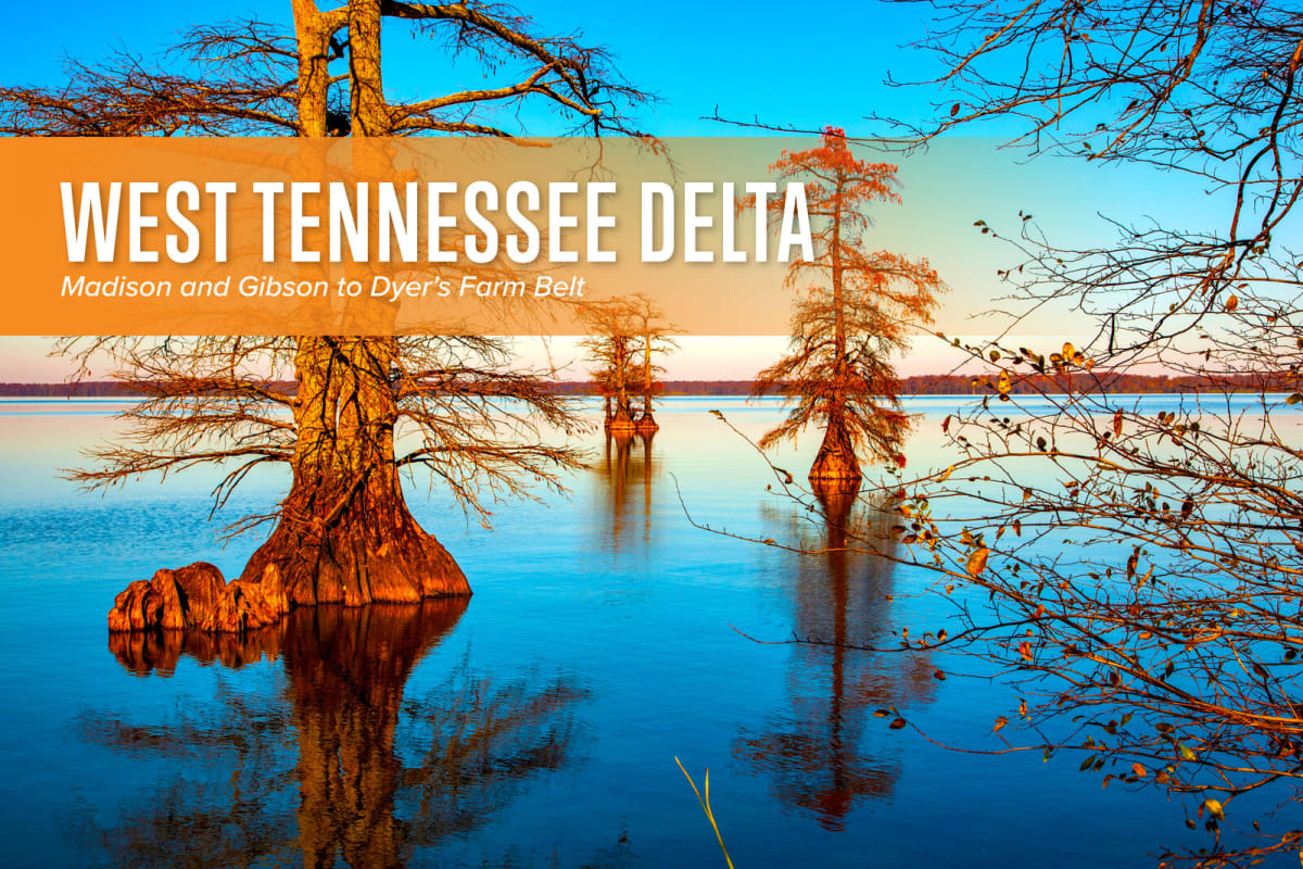 Guide to Tennessee - West Tennessee Delta