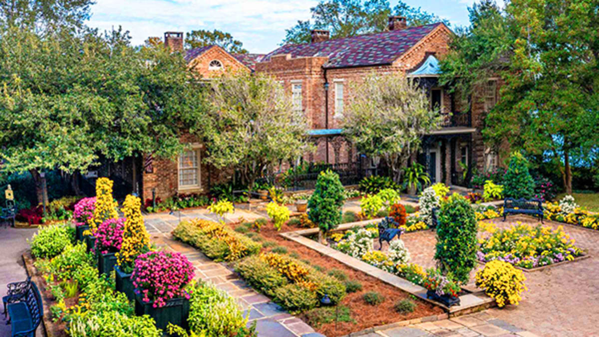 Summer Strolls and Bama Blooms