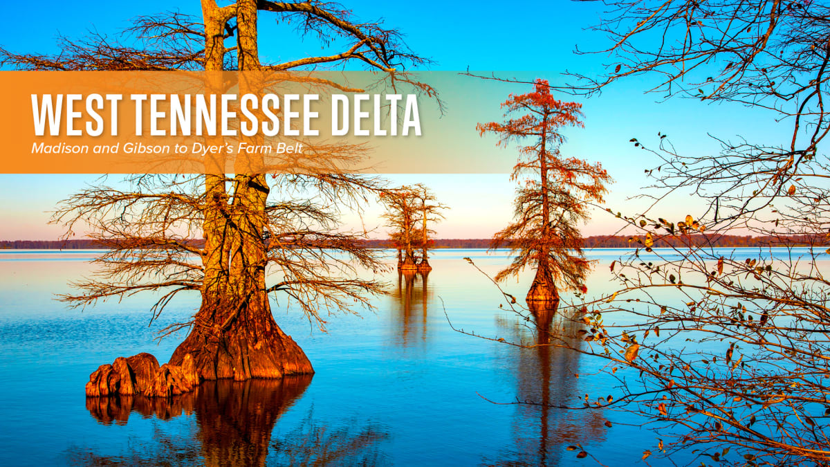 West Tennessee Delta