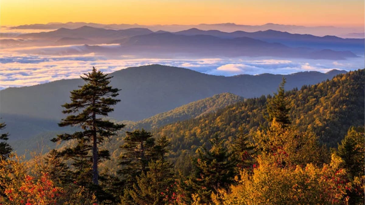 Smokies After Sunset