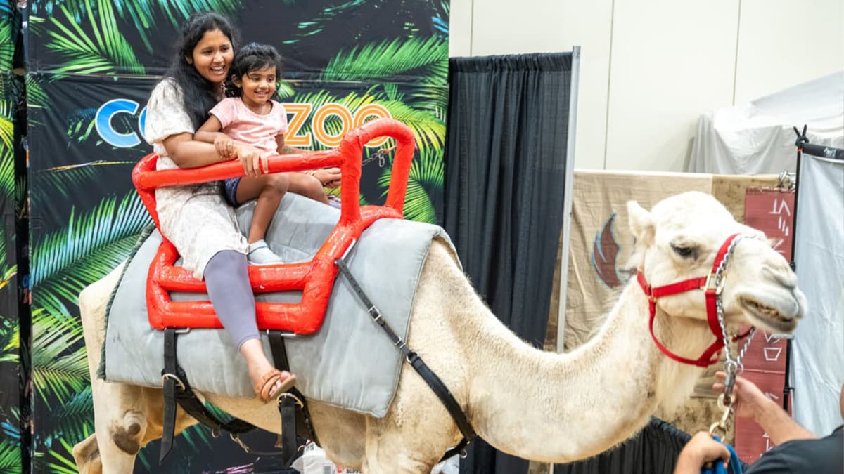 Orlando’s Ultimate Playdate!