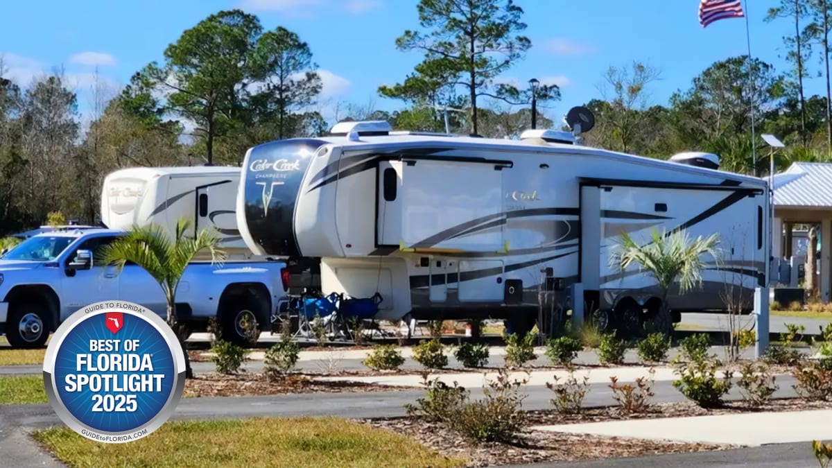 More Than a Parking Spot!
