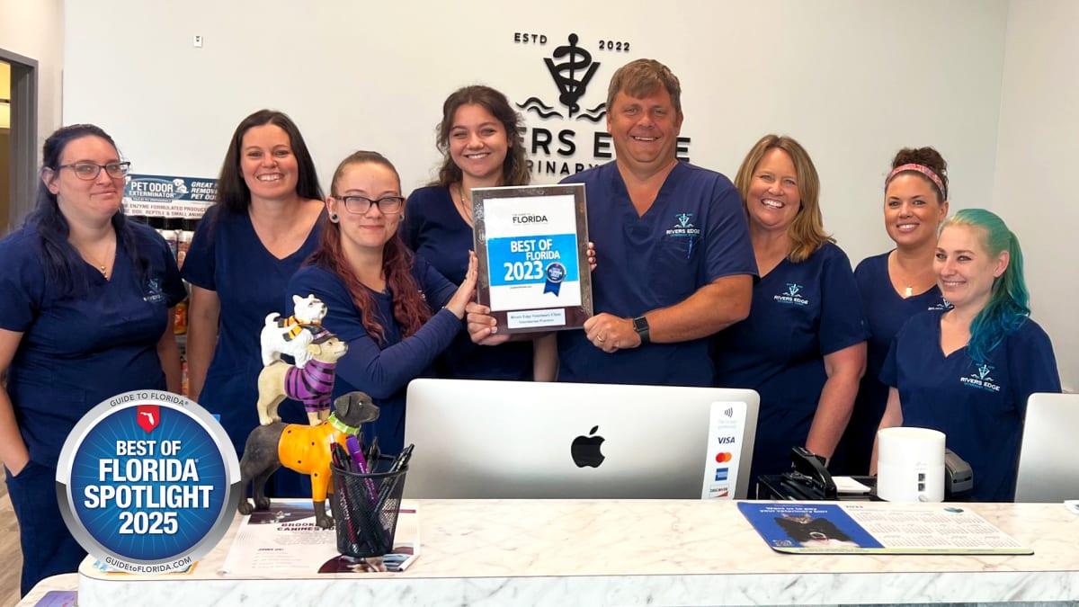 Where Wagging Tails Meet High-Tech Care
