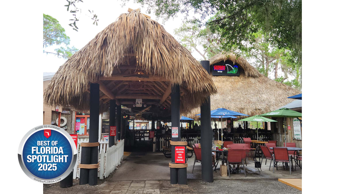 Dinner with a View (And Maybe a Gator)